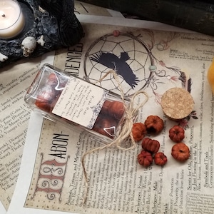 Putka Pods, Mini Pumpkins