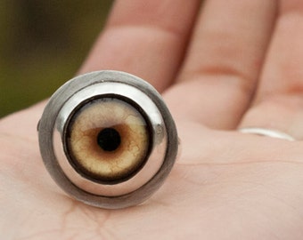 Wolf Eye Ring Sterling Silver