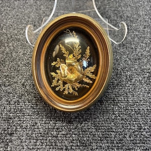Flora Hawaii 24k - Etsy