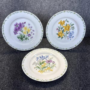 Thomson Pottery~Floral Garden~Dinner Plates~10 1/4"~Set of 3