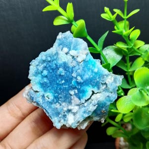 May include: A raw, crystalline mineral specimen featuring a vibrant blue hue with clusters of translucent white and clear mineral formations across its textured, jagged surface, showcasing natural geological patterns and irregular edges.