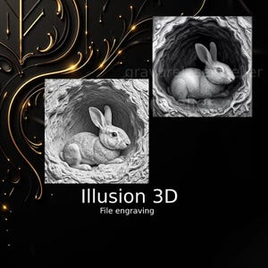 Fichier illusion profondeur , gravure laser relief , niveau de gris , échelle de gris , jarvis