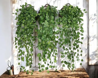 Artificial Green Plant Wall Hanging - Begonia Vine for Home & Indoor Decor