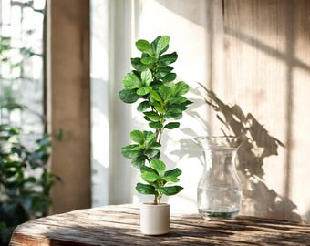 Large Faux Fiddle Leaf Ficus Tree: Indoor & Outdoor Decor (70–135cm)