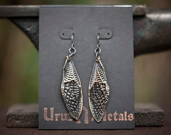 Real Cicada Wing Earrings | insect bug entomology earrings | copper electroplating | handmade hypoallergenic jewelry | OOAK by Uruz Metals