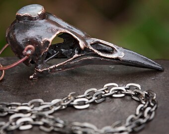 Real Bird Skull with Rainbow Moonstone Reliquary Necklace | skeleton bone statement necklace | June birthstone pendant | OOAK by Uruz Metals