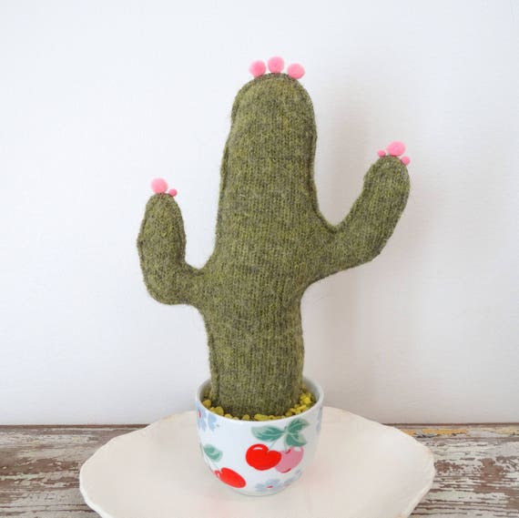 Cactus Laine Cactus En Pot Pot De Cerises Rose Pom Poms