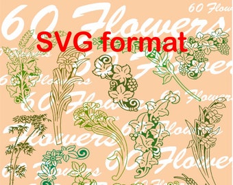 60 Flowers SVG format Vector Clipart