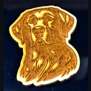 Può includere: Un ritaglio di legno della testa di un cane, con venature dettagliate. Il muso del cane è marrone con un bordo color crema. I lineamenti del cane sono scolpiti nel legno, creando un aspetto strutturato.
