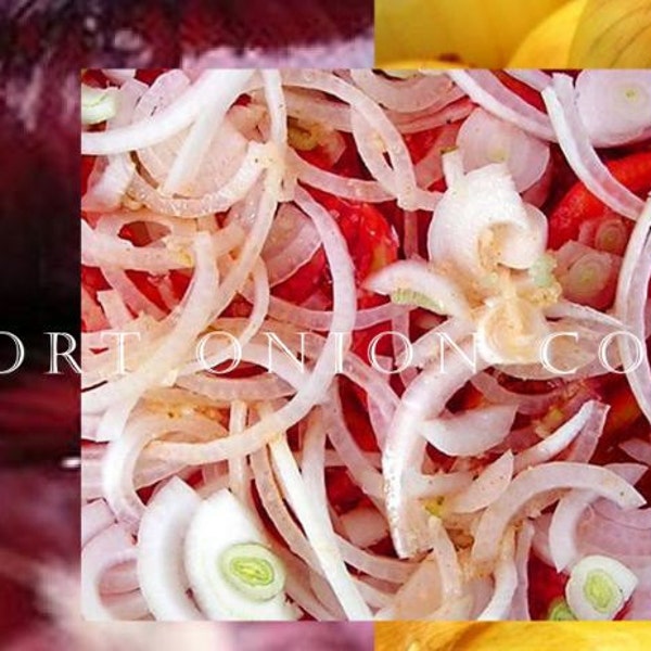 Onion, 'Southport Onion Collection' - Red, White & Yellow Round Onion Seeds