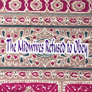 Midwives Sticker