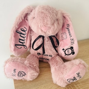 Personalized Rabbit | Soft Toy Rabbit | Birth Gift | Soft Toy / Birth Soft Toy | Soft Rabbit Soft Toy /
