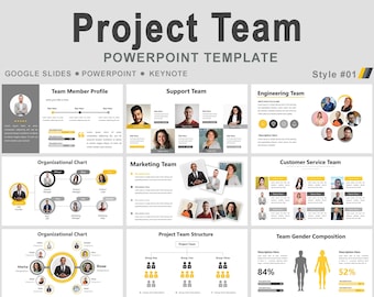 Project team PowerPoint template, team body project, Project Team Structure, Team Composition, project management team, Team roles slides