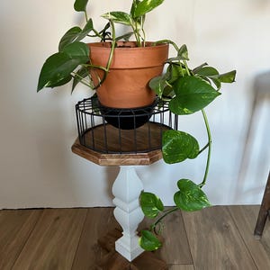 Könnte beinhalten: Eine Topfpflanze mit grünen und gelben Blättern steht auf einem dekorativen Pflanzenständer. Der Ständer hat einen schwarzen Drahtkorb, eine Holzplatte, einen weißen Sockel und einen Holzfuß.