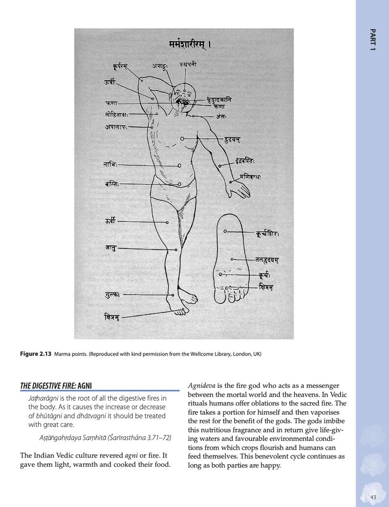 May include: A black and white illustration of a human body with labeled points. The image is titled "Marma Shariram" in Sanskrit. The caption below the image reads "Figure 2.13 Marma points. (Reproduced with kind permission from the Wellcome Library, London, UK)"