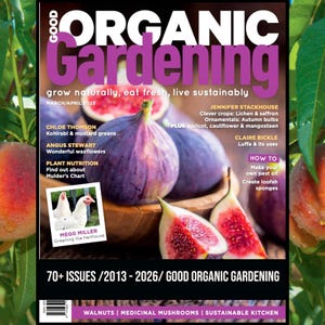 May include: A white ceramic mug with a black handle and the text "But First, Coffee" in a bold, black font. The mug is likely 11 ounces in size and sits on a white surface.