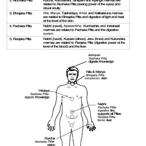 May include: A black and white line drawing of a human body with circles representing marma points. The image is labeled with the names of the marma points and the corresponding pitta subtypes. The text "Pitta Subtypes and Marma Points" is at the top of the image. The text "Subdoshas of Pitta and Marmas" is at the bottom of the image.