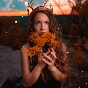 May include: A woman with long brown hair wears a crown with antlers and holds a branch of dried orange foliage in front of her face. The background is a blurred sunset with a blue and orange sky.