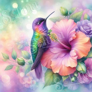 May include: A vibrant watercolor painting of a hummingbird perched near a large hibiscus flower. The bird has iridescent feathers in shades of purple, green, and blue. The flower is a mix of pink and orange, with purple roses in the background.