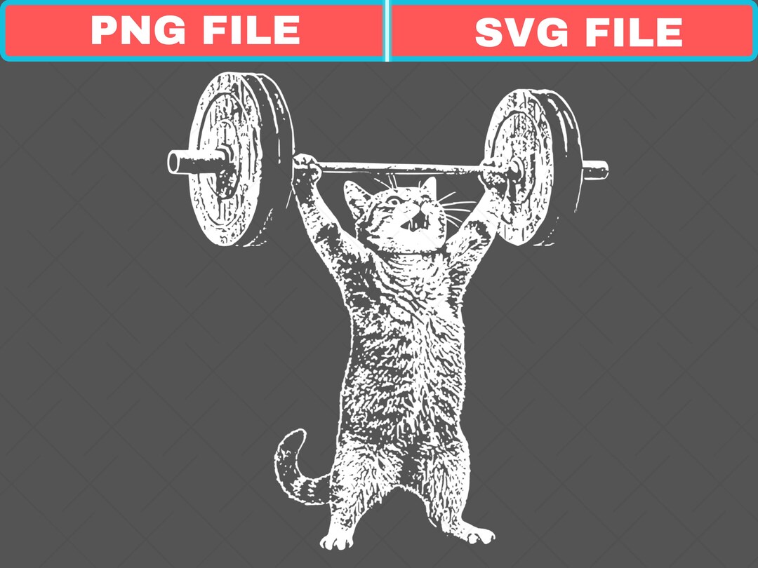 Funny Cat Gym Svg, Cat Workout Png, Funny Deadlift Cat Meme Svg, Gym ...