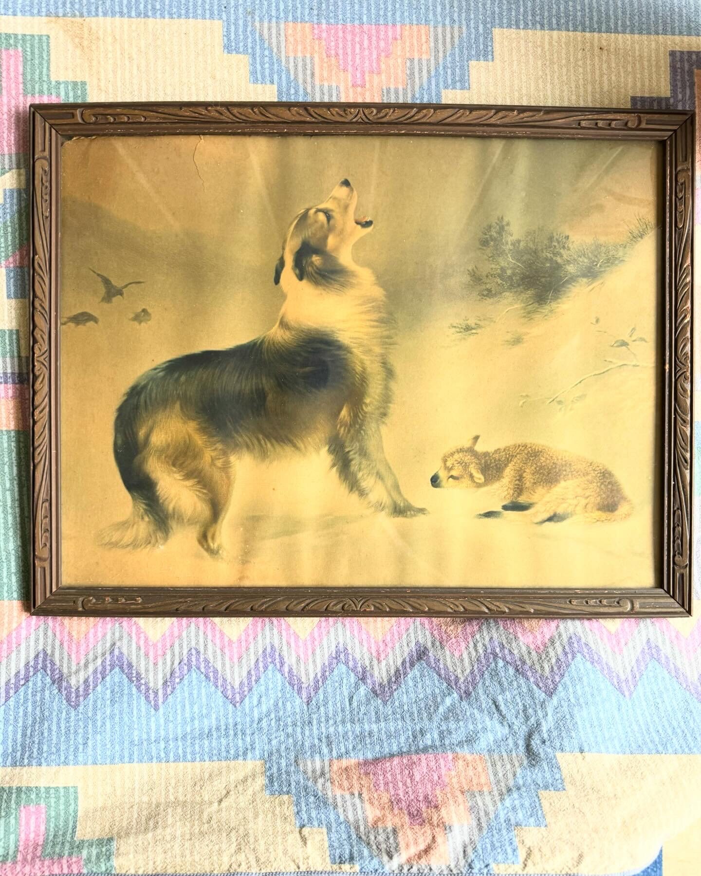 Vintage Antique Shepherds “found” Collie and Lamb Print by Walter