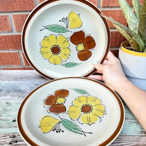 Pair of Two Topaz BOUQUET Stoneware 10.5” DINNER PLATE  Japan  Vintage. Hand Painted, Oven Proof Vintage Floral Plates.
