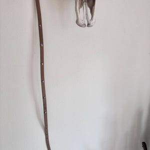 May include: A brown leather belt with a silver buckle and small, decorative silver studs. The belt is hanging against a white wall, with a skull in the background.
