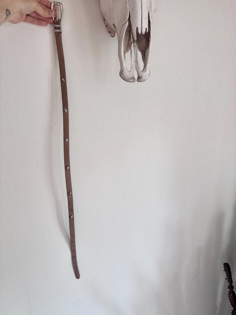 May include: A brown leather belt with a silver buckle and small, decorative silver studs. The belt is hanging against a white wall, with a skull in the background.