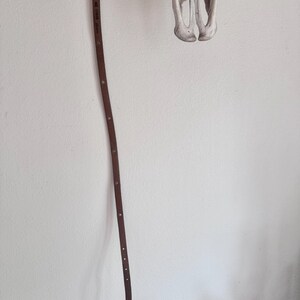 May include: A brown leather belt with a silver buckle and small silver studs. The belt is hanging on a white wall, with a decorative animal skull in the background.