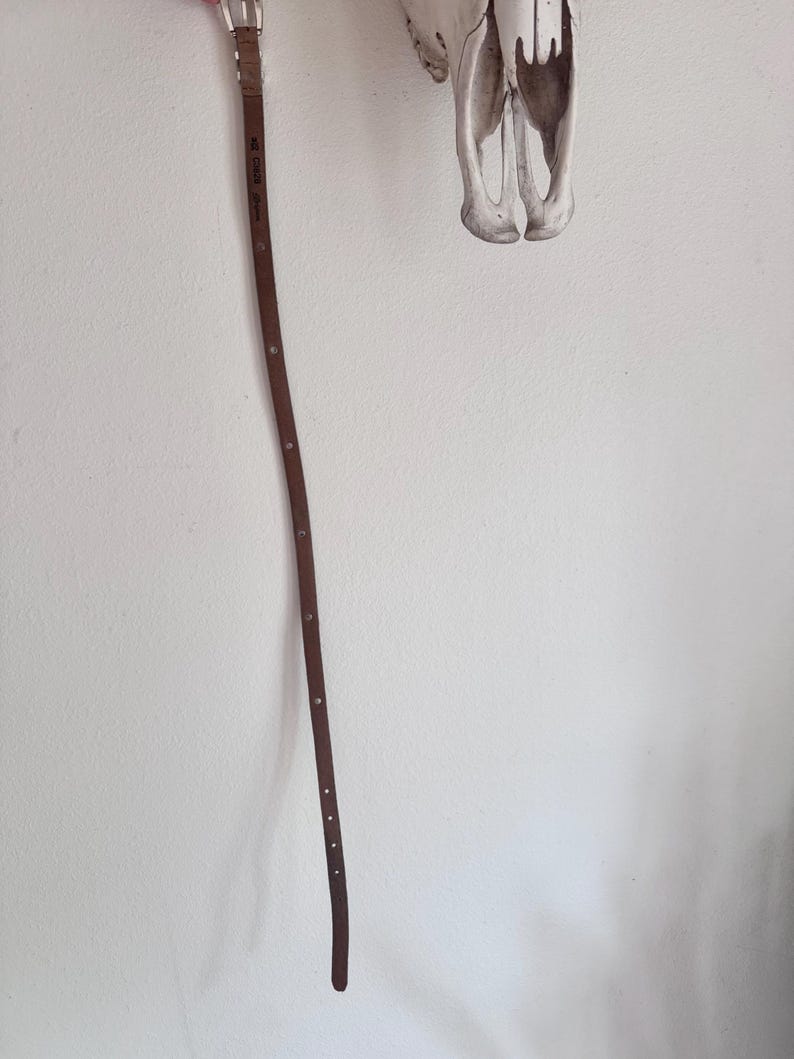 May include: A brown leather belt with a silver buckle and small silver studs. The belt is hanging on a white wall, with a decorative animal skull in the background.