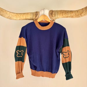 May include: A blue sweater with brown and green accents. The sweater has brown cuffs, a brown collar, and brown sleeves with green stripes and bear graphics. The sweater is hanging on a wooden hanger.