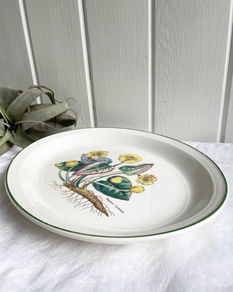 Vintage Enoch Wedgwood Nuphar Luteum Oval Platter, 13 inches made in England. Florabunda Plate. image 2