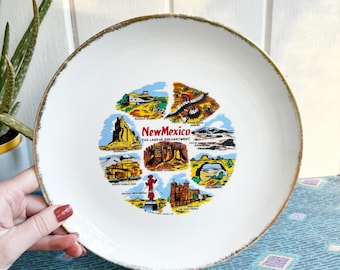 Placa decorativa estatal vintage de Nuevo México. Placa de la Tierra del Encanto. Triumph Homer Laughlin, 1891. EE. UU. Jacob Karol China Co.