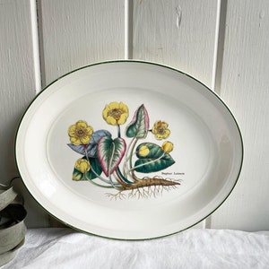 Vintage Enoch Wedgwood Nuphar Luteum Oval Platter, 13 inches made in England. Florabunda Plate. image 1