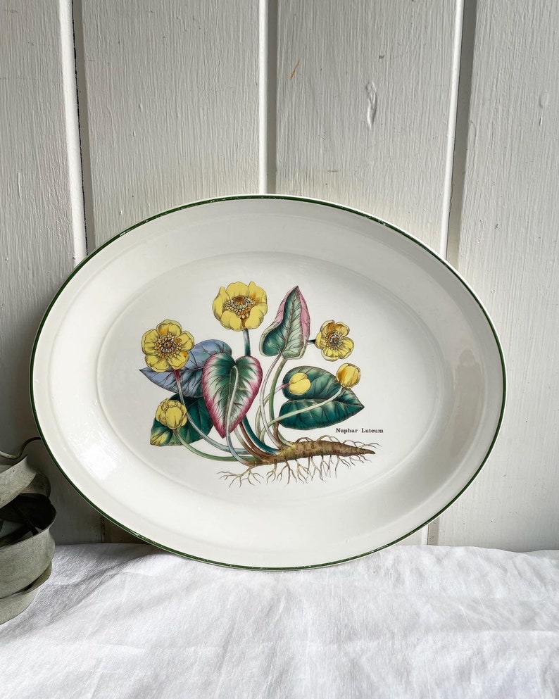 Vintage Enoch Wedgwood Nuphar Luteum Oval Platter, 13 inches made in England. Florabunda Plate. image 1