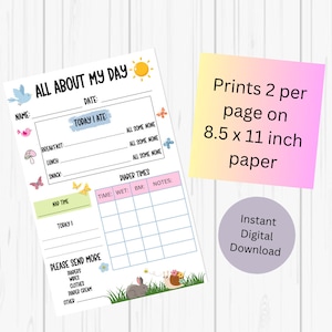 May include: Printable daily log for a child with sections for name, date, meals, nappy times, nap time, and a section for notes. The printable features a colourful design with butterflies, birds, and flowers.