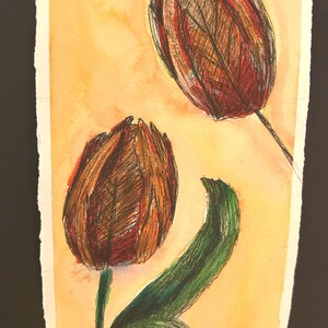 tulipes, fleurs,