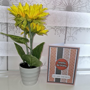 Tarjeta de felicitación de feliz cumpleaños