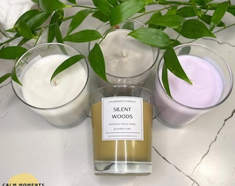 Silent Woods Soy Candle – Warm Sandalwood, Vetiver & Amber | Earthy Cozy Candle | 8oz