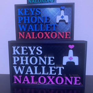 Letrero flotante de naloxona para billetera de teléfono con llaves: recordatorio de reducción de daños pintado a mano, arte Narcan, decoración de pared para la recuperación de adicciones impresa en 3D