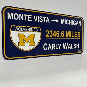 Custom College Road Sign: Regular Size image 4