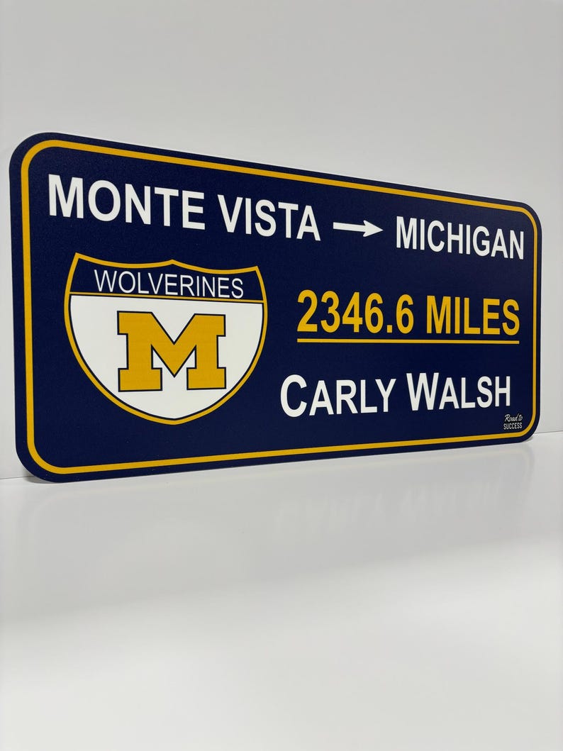 Custom College Road Sign: Regular Size image 4