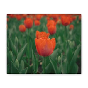 Red Tulip Canvas Art Print, Floral Wall Decor, Spring Home Decor, Perfect for Mother&#39;s Day, Bright Living Room Accent, Gift for Nature