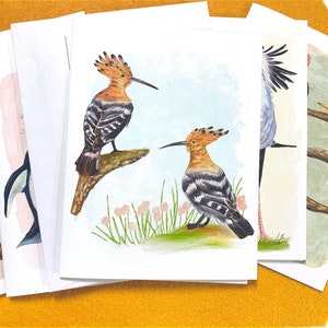 Schede di uccelli Birb - Upupa, Crocchetta crestata rossiccia, Pinguino macaroni, Uccello segretario, Martin pescatore dal becco giallo, Turaco, Merganser incappucciato