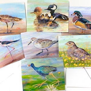 Tarjetas de aves migratorias de mayo: tarjetas horizontales de cigüeñuela de cuello negro, serretas, chotacabras nácundas, gallinetas, andarríos, zarapitos trinadores y patos de bosque