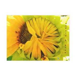 Zonnebloem ansichtkaartbundelset, aangepaste wenskaarten, uitvouwbaar ontwerp, Nancy Nemeth Art, landschap/portret, cadeaubonnen,