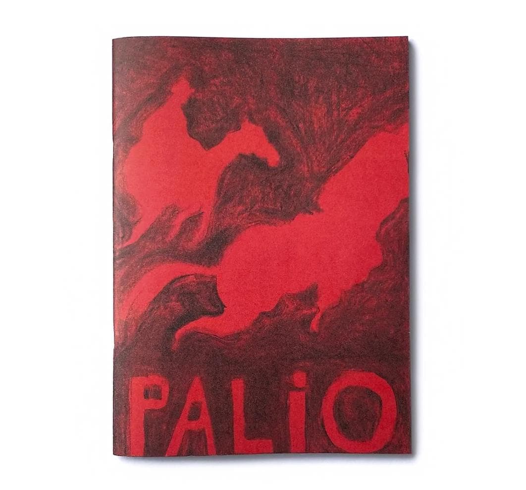 Palio di Siena, Italy Art Printed Zine Book