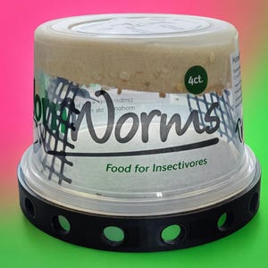 Lyft för hornmaskbehållare | Tillbehör för reptilfodring | Stöd för hornmaskkoppar | Reptiler, insekter, matarinsekter, herpar