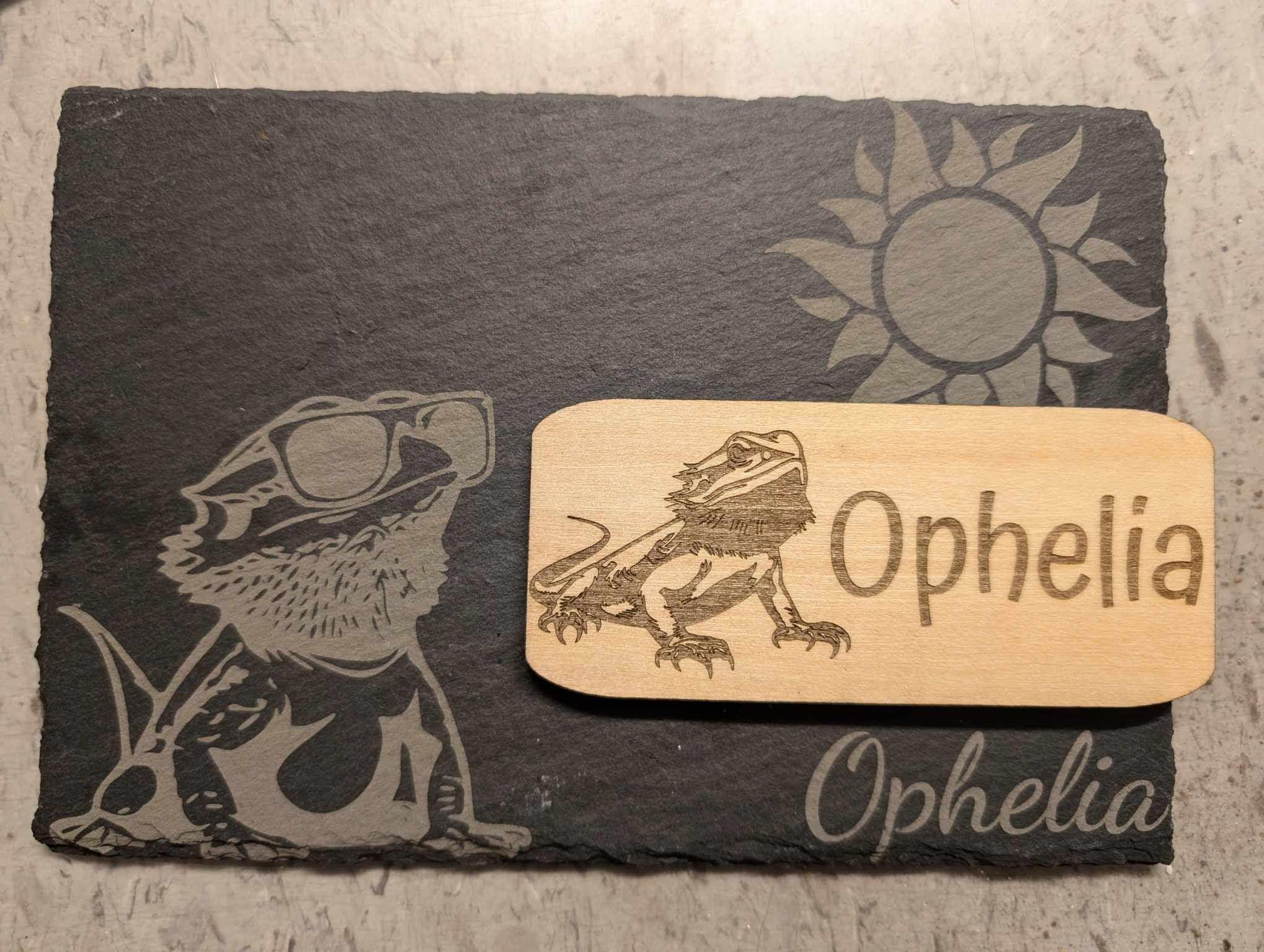 Tortoise Shell Tag Personalized Tortoise Name Enclosure Sign: Natural Wood Pet Name Tag ...