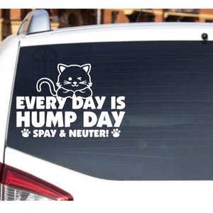 Every day Is Hump Day | Animal Rescue Humor | TNR | Rescue cats, animal welfare, humane, tspay and neuter  animal lover vinyl decal
